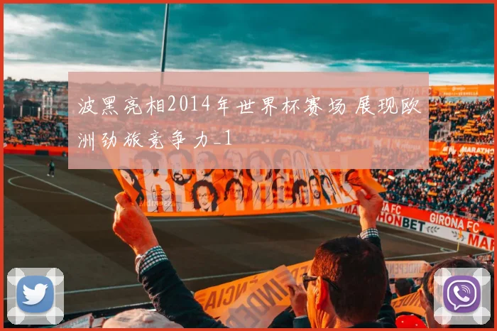 波黑亮相2014年世界杯赛场 展现欧洲劲旅竞争力_1